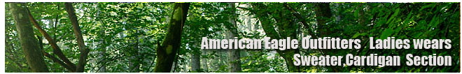 アメリカンイーグル/Amrican Eagle/レディース/セーター、カーディガンコーナー