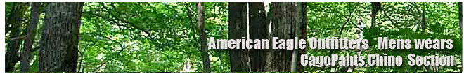 アメリカンイーグル/Amrican Eagle/メンズ/カーゴ、チノパンコーナー